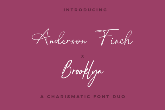 Anderson Finch X Brooklyn Duo: A Font That Speaks to Your Brand
