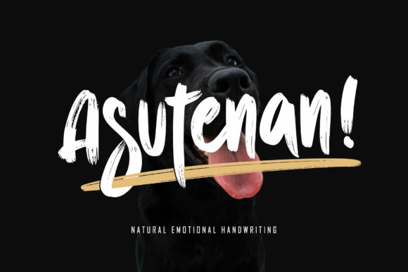 Asutenan: A Script Font for Creative Web Design