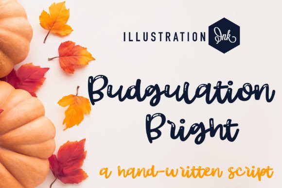 Budgulation: A Magical Script Font