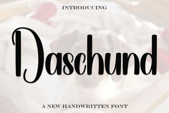 Daschund Font: Elegant Handwritten Type