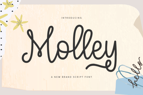 Molley: A Stylish Script Font