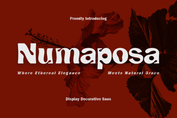 Numaposa: A Bold Statement in Decorative Typography